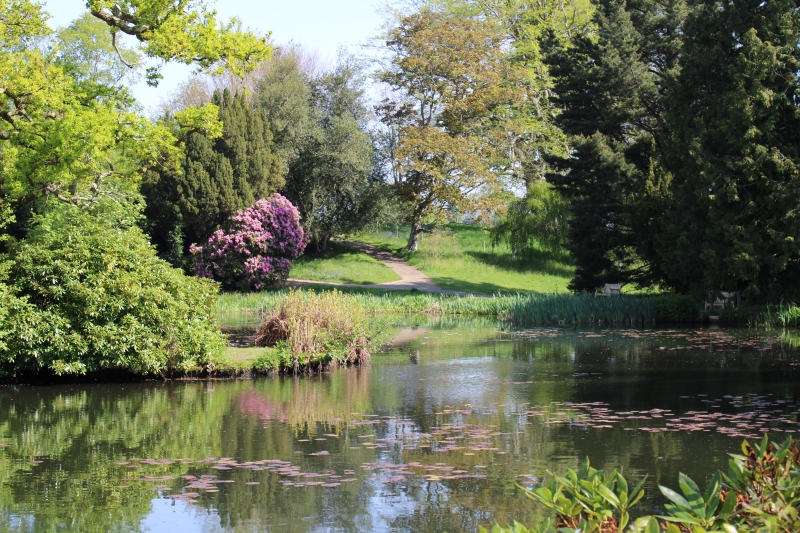 Scotney Castle